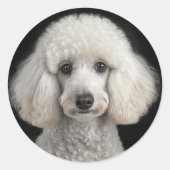 Rocky Runder Aufkleber (Vorderseite)