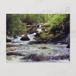 Rocky Rushing Stream - Große, rauchige Berge Postkarte
