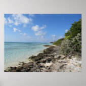 Rocky Shore - Coco Cay Poster (Vorne)