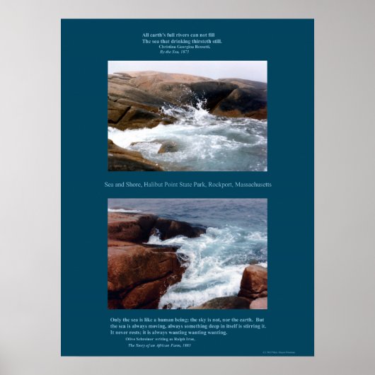 Rocky Shore Poster (Vorne)