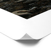 Rocky Shores Poster (Ecke)