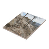 Rocky Steps Fliese (Seite)