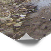 Rocky Stream Poster (Ecke)