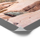 Rocky Summer Seascape Acadia Nationalpark Maine Poster (Ecke)