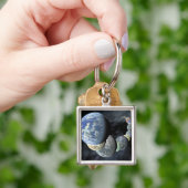 Rocky, terrestrisch schlüsselanhänger (Hand)