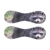 Rocky the Raccoon Baseball (Paneele)