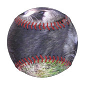 Rocky the Raccoon Baseball (Vorderseite)
