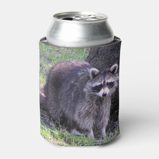 Rocky the Raccoon Dosenkühler (Kanne Vorderseite)