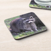 Rocky the Raccoon Getränkeuntersetzer (Linke Seite)