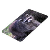 Rocky the Raccoon Magnet (Linke Seite)