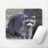 Rocky the Raccoon Mousepad (Mit Mouse)