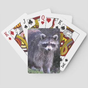 Rocky the Raccoon Spielkarten