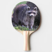 Rocky the Raccoon Tischtennis Schläger (Vorderseite)
