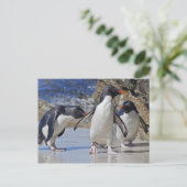 Rocky Trio Postcard Postkarte (Stehend Vorderseite)