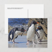 Rocky Trio Postcard Postkarte (Vorne/Hinten)