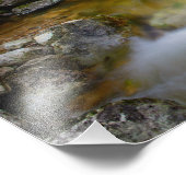 Rocky-Wald-Bach Foto (Ecke)