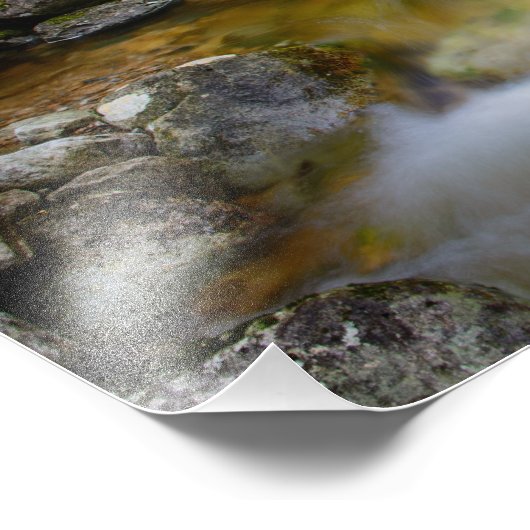 Rocky-Wald-Bach Foto (Ecke)