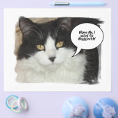 Rod Blagojevich Flyer (Einzeln)