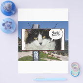 Rod Blagojevich Flyer (Einzeln)