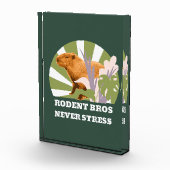 Rodent Bros Stress Capybara Fotoblock (Rechts)