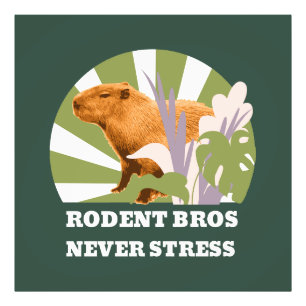 Rodent Bros Stress Capybara Fotodruck