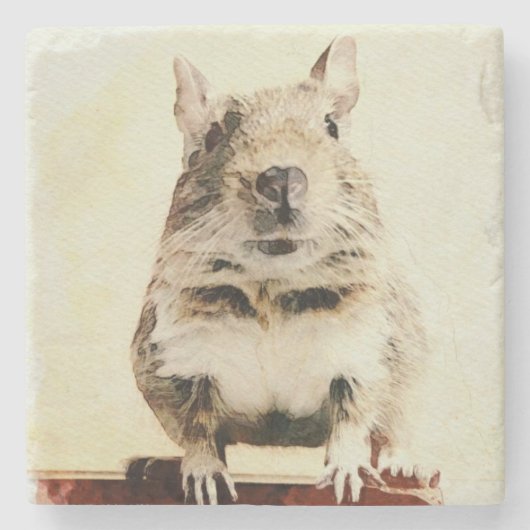 ⊿Rodent world⊿ Steinuntersetzer (Vorderseite)