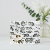 Rodentia-Nagetiere oder nagende Tiere Postkarte (Stehend Vorderseite)