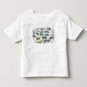 Rodentia-Nagetiere oder zerfressende Tiere Kleinkind T-shirt