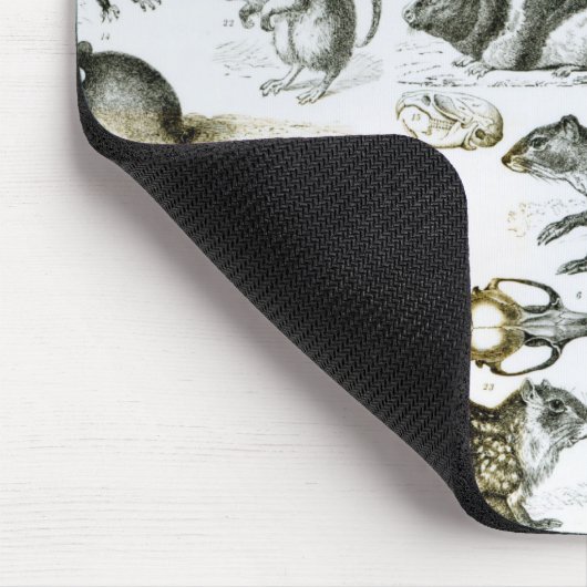 Rodentia-Nagetiere oder zerfressende Tiere Mousepad (Ecke)