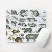 Rodentia-Nagetiere oder zerfressende Tiere Mousepad (Mit Mouse)