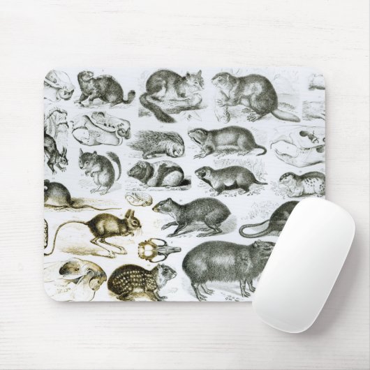 Rodentia-Nagetiere oder zerfressende Tiere Mousepad (Mit Mouse)