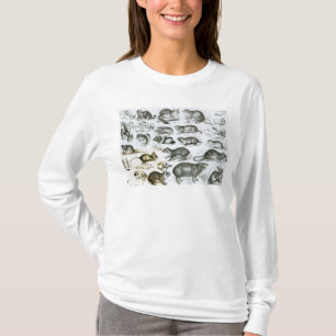 Rodentia-Nagetiere oder zerfressende Tiere T-Shirt