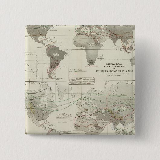 Rodentia, Ruminantia Button (Vorderseite)