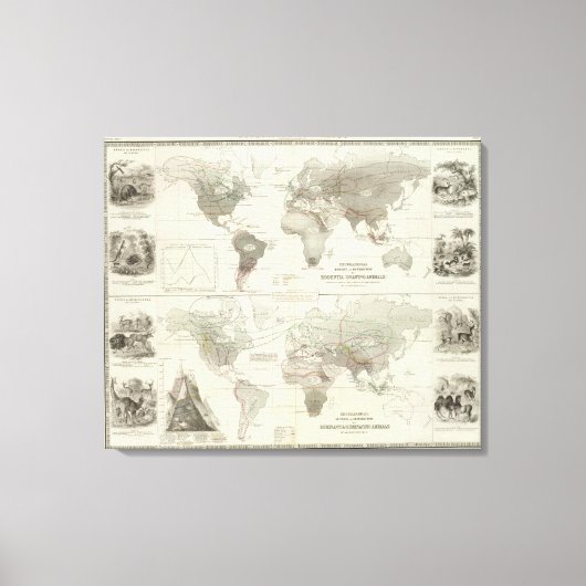 Rodentia, Ruminantia Leinwanddruck (Vorderseite)