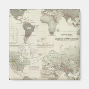 Rodentia, Ruminantia Magnet