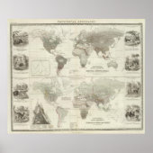 Rodentia, Ruminantia Poster (Vorne)