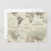 Rodentia, Ruminantia Postkarte (Vorne/Hinten)