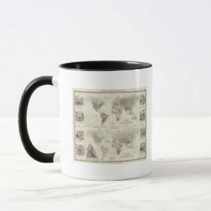 Rodentia, Ruminantia Tasse