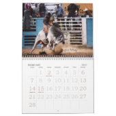 Rodeo-Bilder, 2007, Fotos durch… Kalender (Feb 2027)