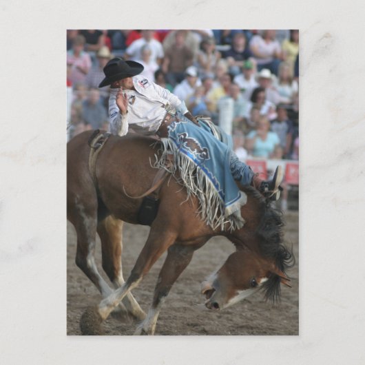 Rodeo Bucking Bronco Postkarte (Vorderseite)