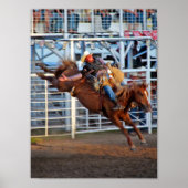 Rodeo Bucking Poster (Vorne)