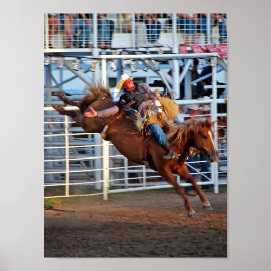 Rodeo Bucking Poster (Vorne)