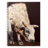 Rodeo Bull Notizblock (Vorderseite)