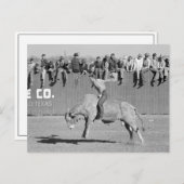 Rodeo Bull Rider, 1940 Postkarte (Vorne/Hinten)