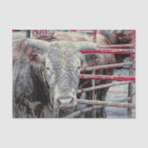 Rodeo Bull Rustic Vintag Grau Red Country Western