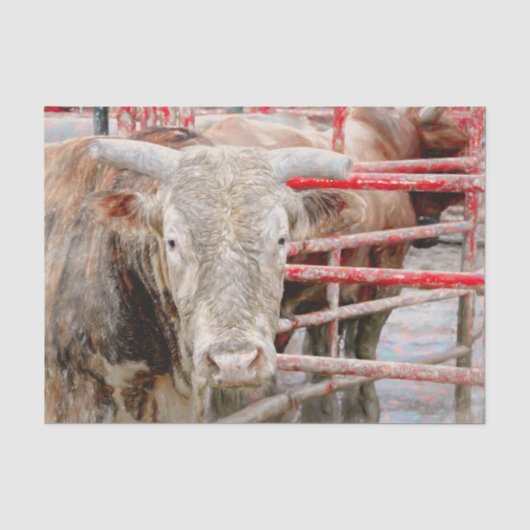 Rodeo Bull Rustikal Western Seidenpapier (Vorderseite)