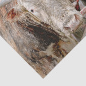 Rodeo Bull Rustikal Western Seidenpapier (Ausschnitt)