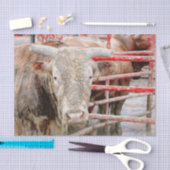 Rodeo Bull Rustikal Western Seidenpapier (Handwerk)