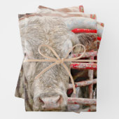 Rodeo Bull Rustikaler Western Geschenkpapier Set (Beispiel)