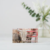 Rodeo Bull Rustikaler Western Visitenkarte (Stehend Vorderseite)